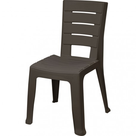 Silla Rimx Baru S_Brazo Wengue